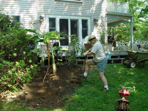 2002-05 Mary planting her tropical garden Ten days later I was enrolled as a 