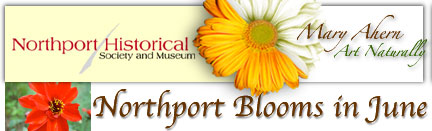 2009-06-09-banner Mary Ahern Artist & The Northport Historical Society