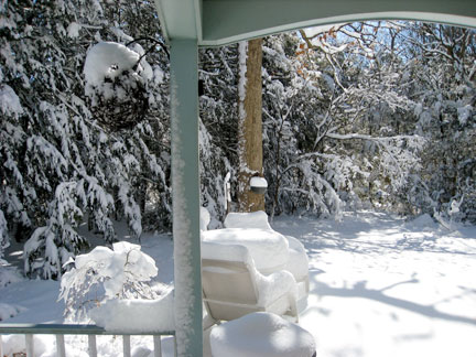 View from my deck after the beautiful snow storm