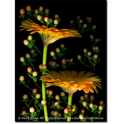 Gerbera With Hypericum