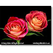 Valentine's Day Gift-Floral Prints