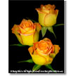 Valentine's Day Gift-Floral Prints