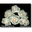 Valentine's Day Gift-Floral Prints