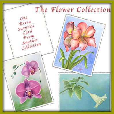 The Flower Collection of Frameable Note Cards
