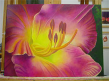 Hemerocallis Daylily