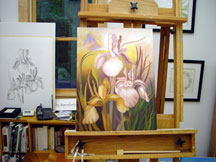 Siberian Iris
