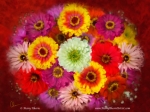 Summer Bouquet