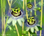 Passion Flowers with Bamboo