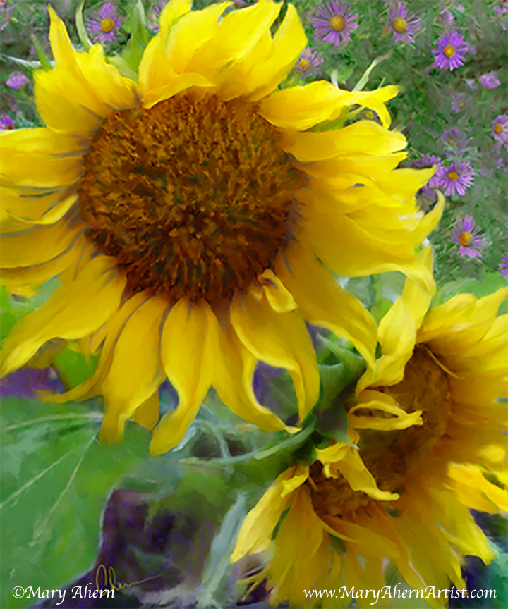 One+Stroke+Painting+Sunflowers Sunflowers and Purple Asters - Painting by Mary Ahern Artist - Mary ...