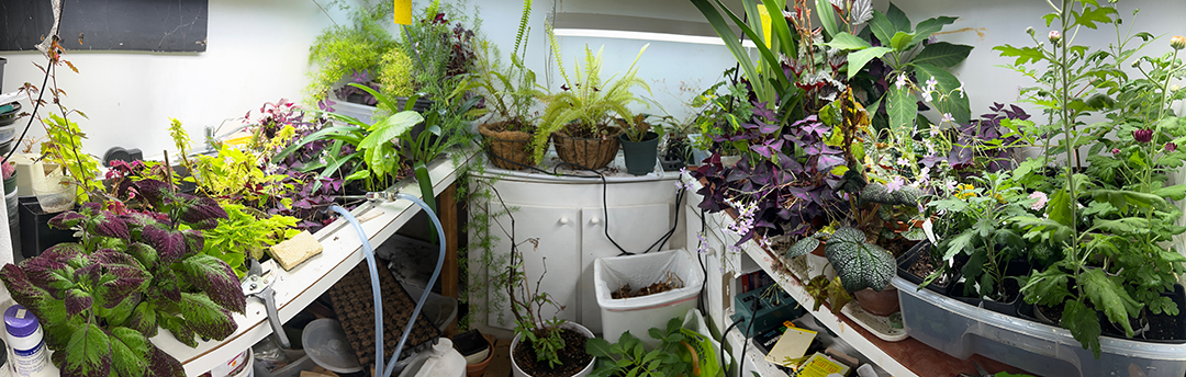 March 8, 2023 Plant Room