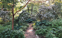 I collect round things and have painting them for years. My woodland entrance invites with a walk-through round thing.