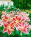 Mary's Dream Garden