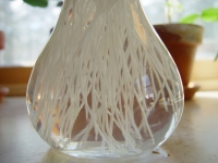 Roots have microsopic root hairs to take up more water