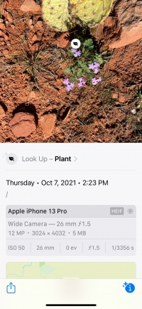 Sedona Plant ID-Initial Capture