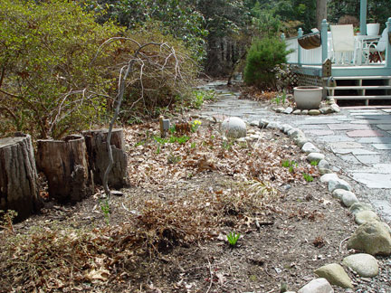 Front Entry garden April 14th.