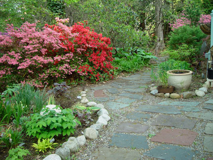 Front Entry garden May 17th.