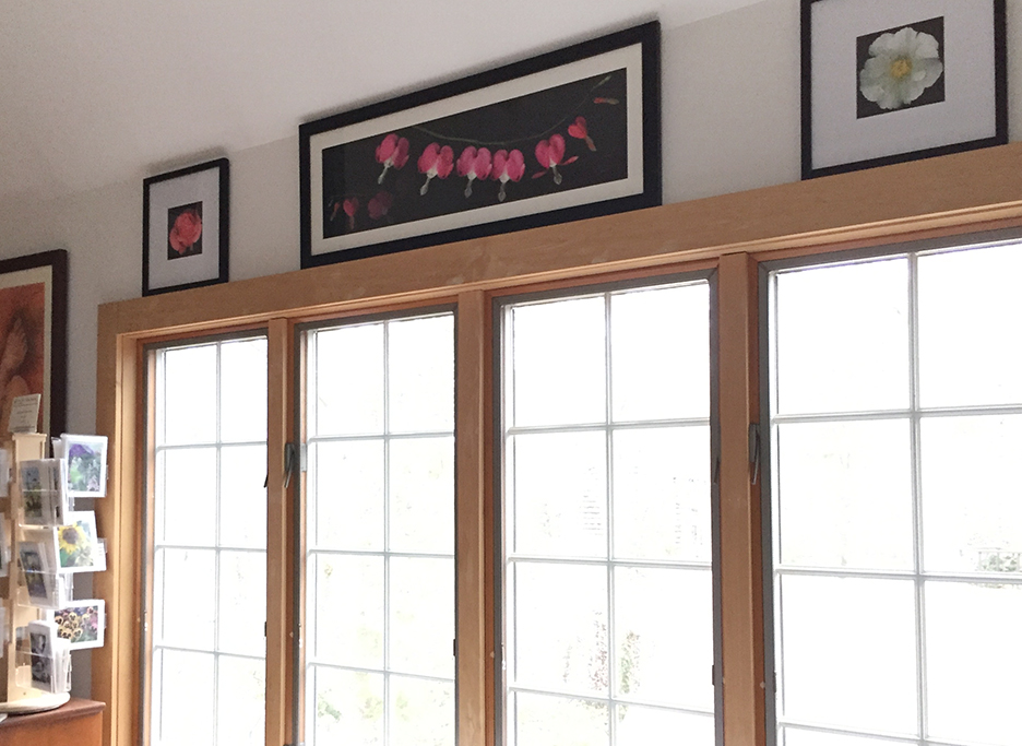 "Dicentra Necklace", an Artwork of a Bleeding Heart by the Artist, Mary Ahern