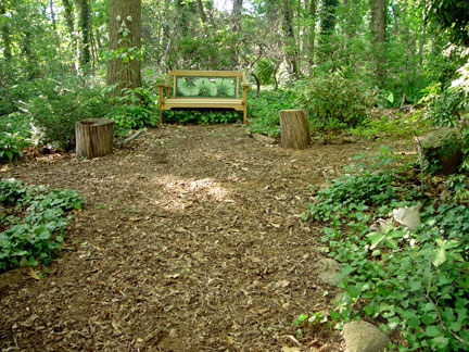 Woodland paths restored after the irrigation pipe installation in the garden of the Artist, Mary Ahern.