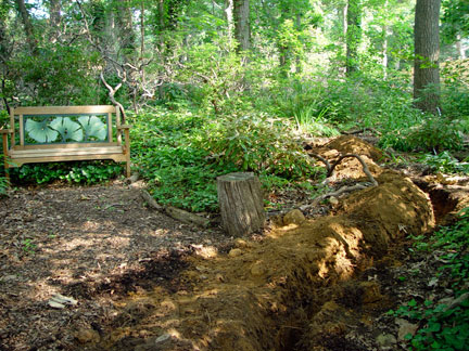 Irrigation system installation in progress in the garden of the Artist, Mary Ahern.