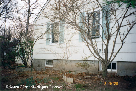 Small basement windows in the rear of house in 2000