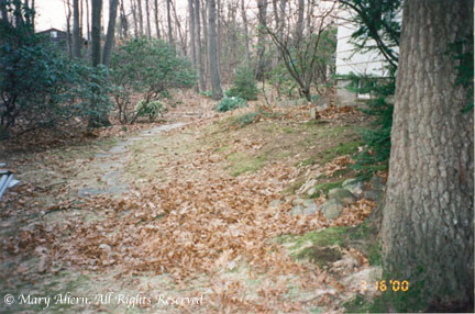 View of rear garden looking north in 2000