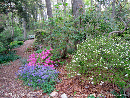Woodland walkways with Ginkgo bench the inspiration for the artist, Mary Ahern.