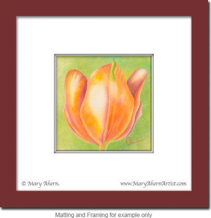 Tulip Painting #1