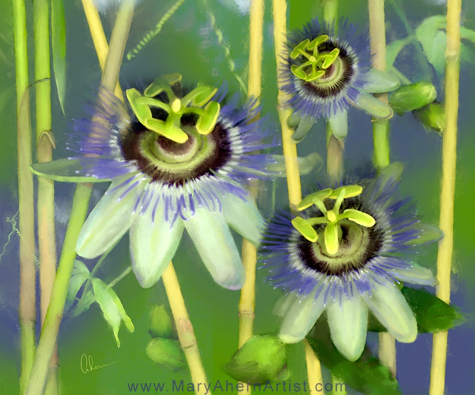 Passion Flowers with Bamboo