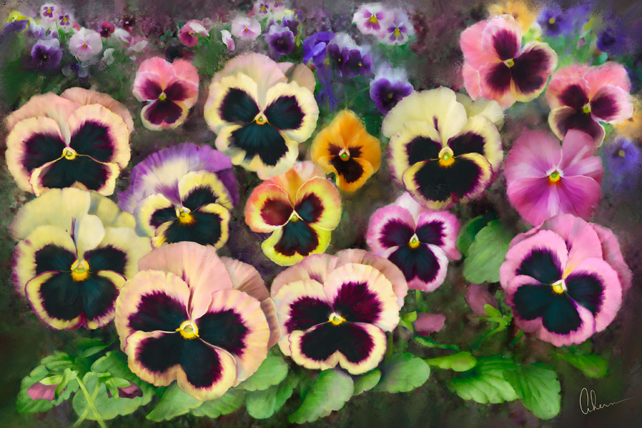 Pansy Field. Mixed Media Painting. 24x36" Gallery Wrapped. Floating Frame.