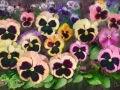 Pansy Field. Mixed Media Painting. 24x36" Gallery Wrapped. Floating Frame.