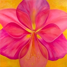 I\'m Not Hiding - Pink Amaryllis 36x36\"GW. Oil on Canvas