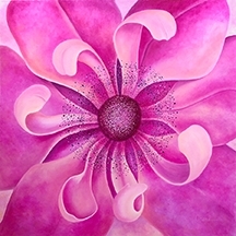 My World-Pink Anemone. 36x36\"GW. Oil on Canvas