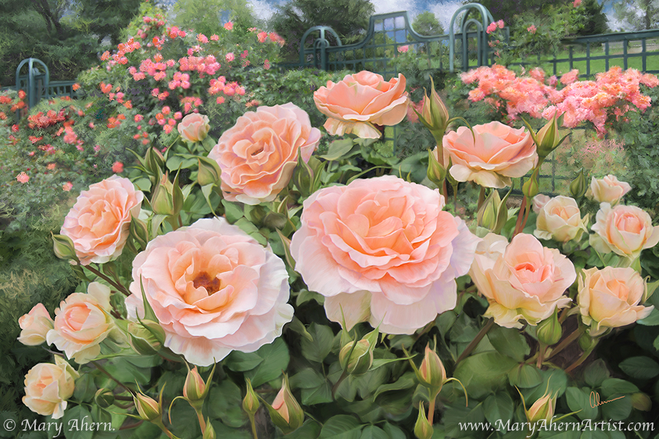 Peggy\'s Rose Garden