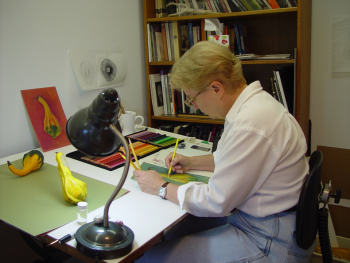 2003 Drawing gourds with colored pencils.