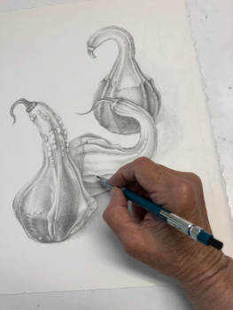 2003 Drawing some autumn gourds.