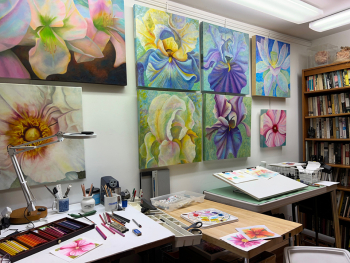 2025 The wall in my drawing studio showing some oil paintings