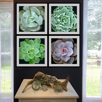 Mary Ahern & Mary Schlotter - Islip Museum Collaboration Art Show