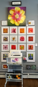 The Firefly Gallery in Northport NY