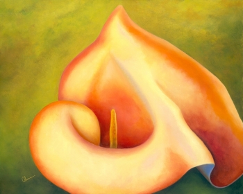 Mapplethorpes Lily 24x30" Oil on Linen.  $2,500.
