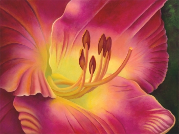 Petersen's Daylily