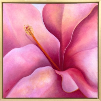 Here I Am - Candy Wind Hibiscus