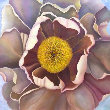 Subtle Exuberance - Tree Peony