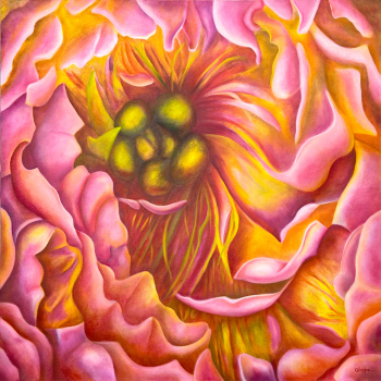 Phantasm - Coral Sunset Peony