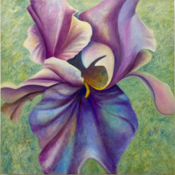Unfurling - Violet Turner Iris
