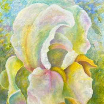 Meditative Journey - Immortality Iris