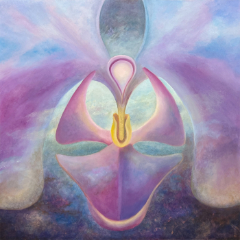 Cosmic Phalaenopsis