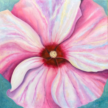 Disco Belle Hibiscus