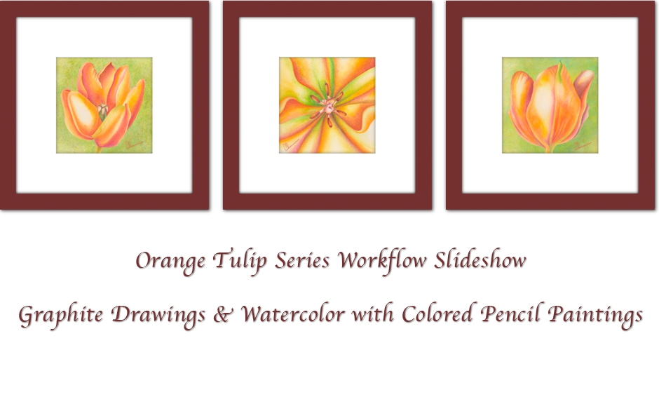 Orange Tulips with Watercolor and Colored Pencils
